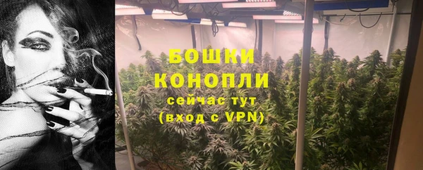 ГАЛЛЮЦИНОГЕННЫЕ ГРИБЫ Надым