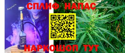 Альфа ПВП Бийск