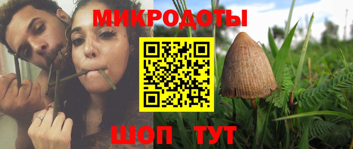 Кореновск  что такое наркотик  Вход с VPN  Галлюциногенные грибы Psilocybine cubensis  Псилоцибиновые грибы Psilocybe 