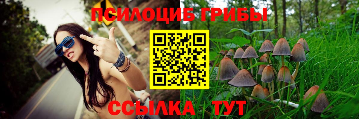 Псилоцибиновые грибы ЛСД Кореновск